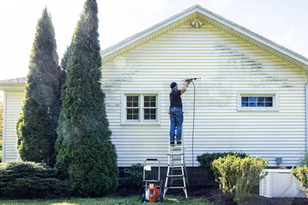 Best Patio and Deck Pressure Washing  in Paris, TN